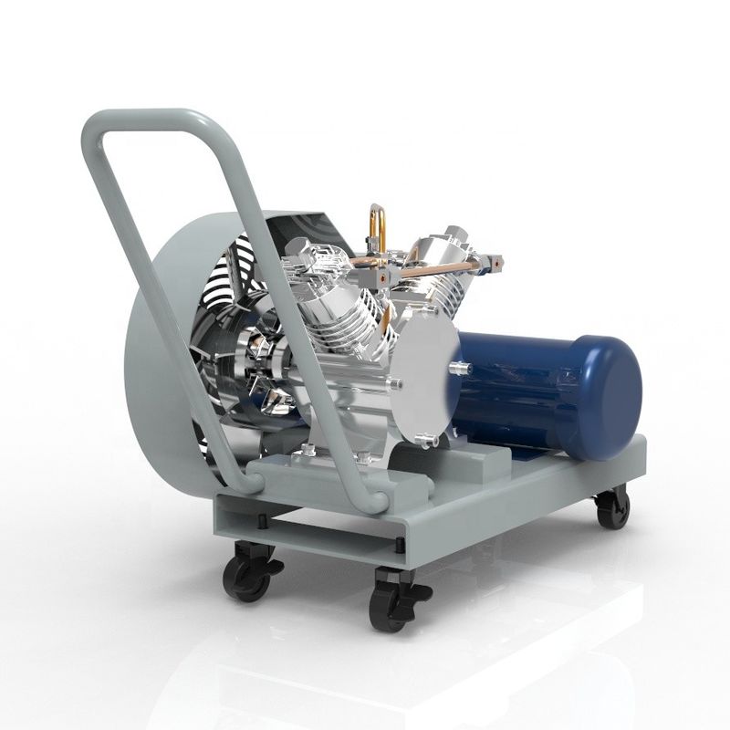 New Generation C1D1 Rated Automotive Ac Evacuation Pump with Twin Cylinder